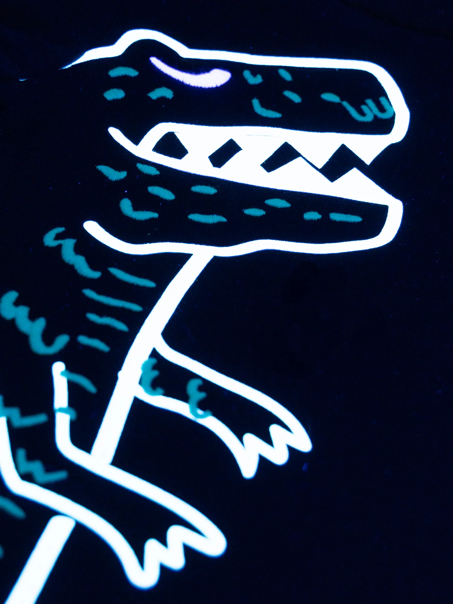 Pyjama bleu nuit phosphorescent à motif dinosaure pour garçon - Image 4